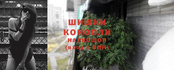 дмт Лабытнанги