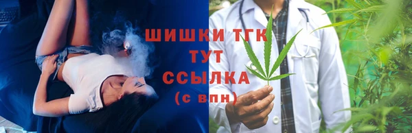 дмт Лабытнанги