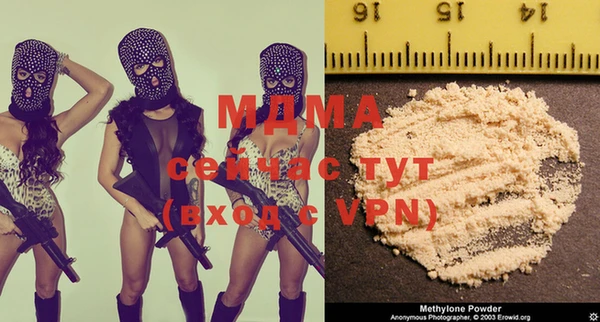 твердый Ладушкин