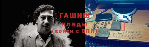 твердый Ладушкин
