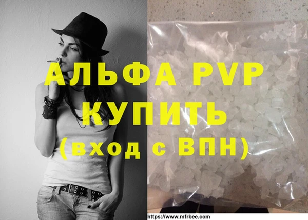 твердый Ладушкин