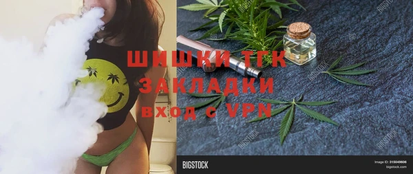 дмт Лабытнанги