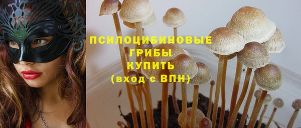 дмт Лабытнанги