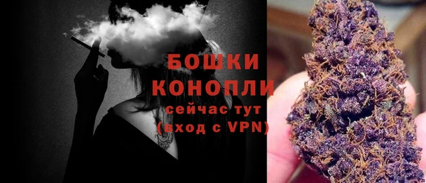 дмт Лабытнанги