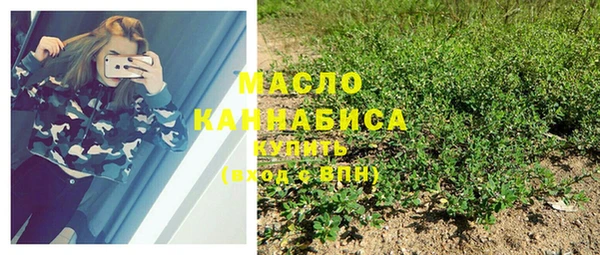 дмт Лабытнанги