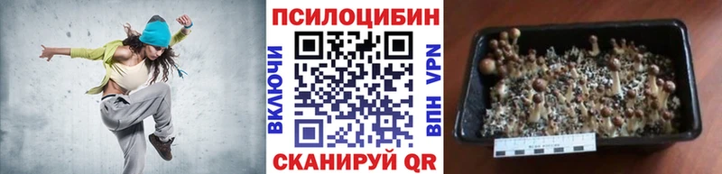 Купить закладки  Пикалёво  Галлюциногенные грибы ЛСД 